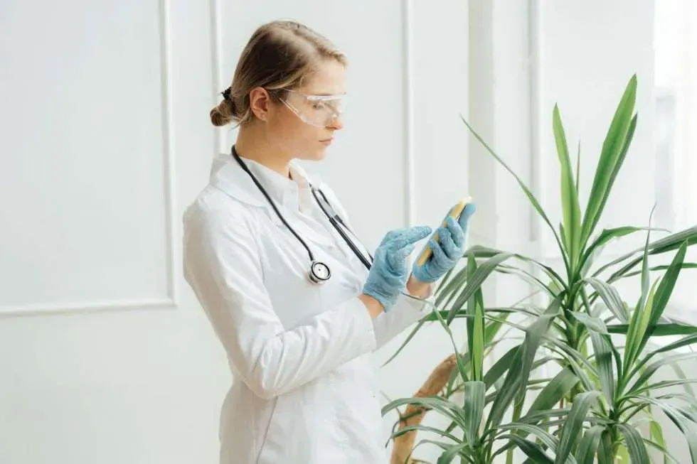The Prescription for Efficient Healthcare